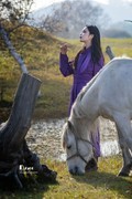 乌兰布统——温顺与柔情（18）