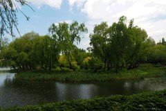 初夏——人民公园风景（1）