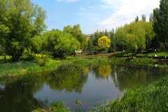 初夏——人民公园风景（1）