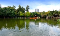 成都印象（十六）