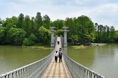 落雁岛随拍