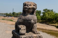 【镜头里】第1747号：卢沟桥的石狮子（一）