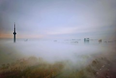 《雾锁龙源湖》手机版