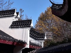 秋影*堤角公园2——武汉随笔