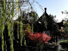 秋影*堤角公园3——武汉随笔