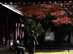 秋影*堤角公园3——武汉随笔