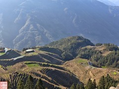 2025.3.19桂林龙脊平安梯田（22）