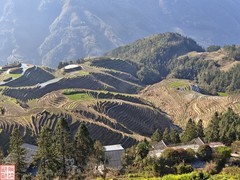 2025.3.19桂林龙脊平安梯田（22）