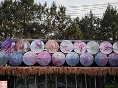 2025.3.22巴马小众观景游（2）