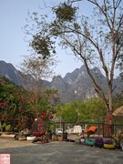 2025.3.22巴马小众观景游（2）