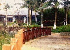 1069【不老松：二游海南纪实】临高长島兰湾二期景！[8集]