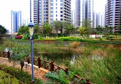 1068【不老松：二游海南纪实】临高长島兰湾二期景！[07集]