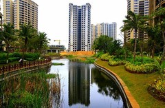 1068【不老松：二游海南纪实】临高长島兰湾二期景！[07集]