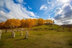 北疆禾木村风景43