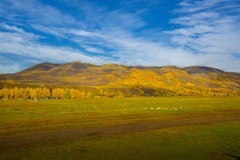 北疆禾木村风景43