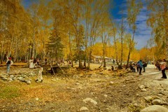 北疆禾木村风景44