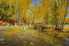 北疆禾木村风景44