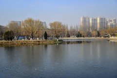 镜湖公园春天的脚步很迟缓