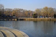 镜湖公园春天的脚步很迟缓