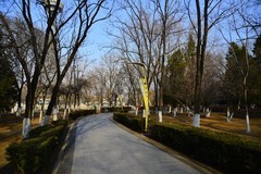 镜湖公园春天的脚步很迟缓