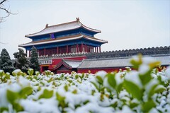 2026年第0199贴 - 角楼景山风光旅拍（0316）