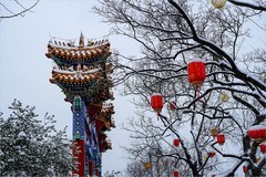 2026年第0199贴 - 角楼景山风光旅拍（0316）