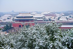 2026年第0199贴 - 角楼景山风光旅拍（0316）