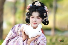 【春信兔来】---小柒