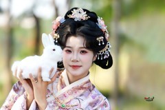 【春信兔来】---小柒