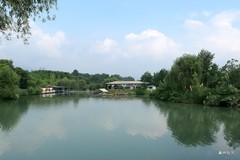 鱼凫湿地公园。彭州鱼凫湿地公园，李白蜀道难有云：蚕丛与鱼凫，开国何茫然，尔来四万