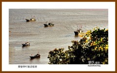 东壁渔村滩涂牧场—2022南行慢游（福建185）宁德市霞浦