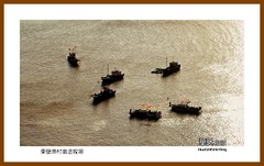 东壁渔村滩涂牧场—2022南行慢游（福建185）宁德市霞浦
