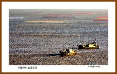 东壁渔村滩涂牧场—2022南行慢游（福建185）宁德市霞浦