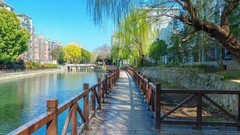 初春的保兴垾（续1）