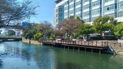 初春的保兴垾（续1）