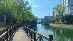 初春的保兴垾（续1）