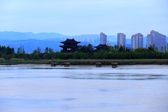 江心屿风光 (13)