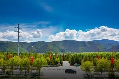 香格里拉到西双版纳沿途风景47