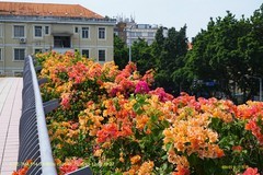 花城廣州之 天橋（二）