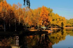 人民公园随拍（9）