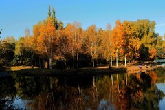 人民公园随拍（9）