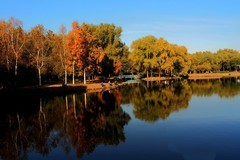 人民公园随拍（9）