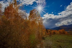 北疆禾木村风景46