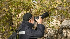 裕西公园拍腊梅