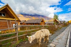 北疆禾木村风景47