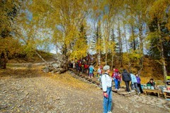 北疆禾木村风景47