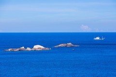 外出随拍（569）.