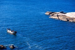 外出随拍（569）.