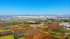 云南建水五彩斑斓的农田