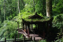 青城山游记